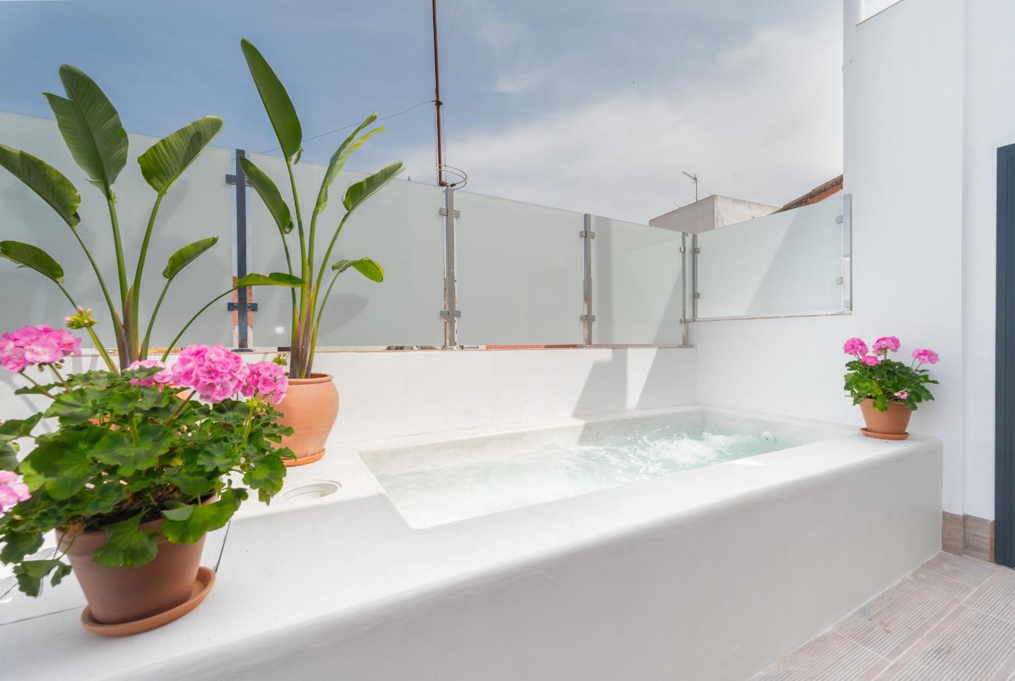 Luxurious Duplex 1bd 1bth Over Casa Pilatos