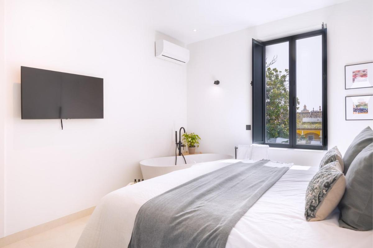 Luxurious Duplex 1bd 1bth Over Casa Pilatos Appartement